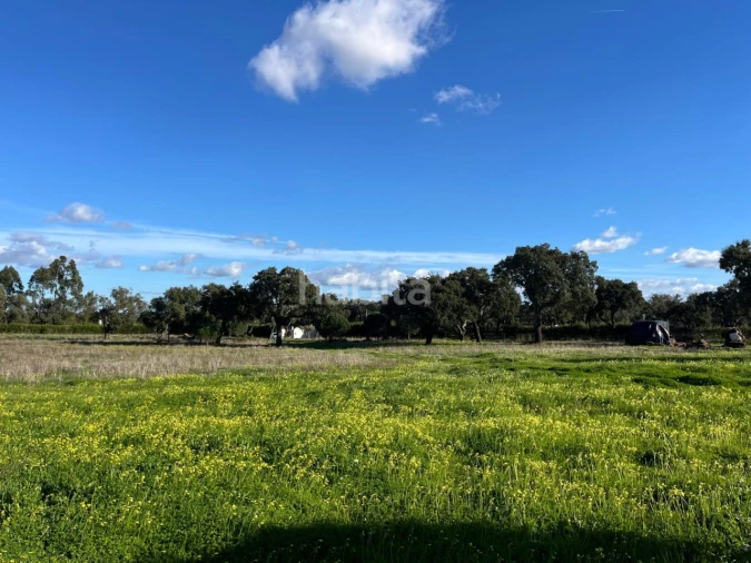 Quinta T2 para Venda em Cercal Foto 30