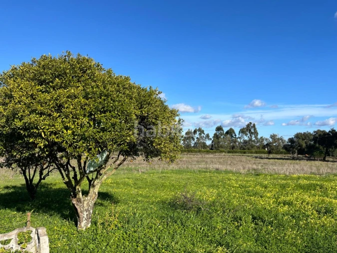 Quinta T2 para Venda em Cercal Foto 31