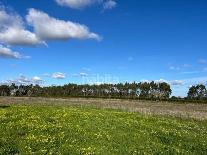 Quinta T2 para Venda em Cercal Foto 32
