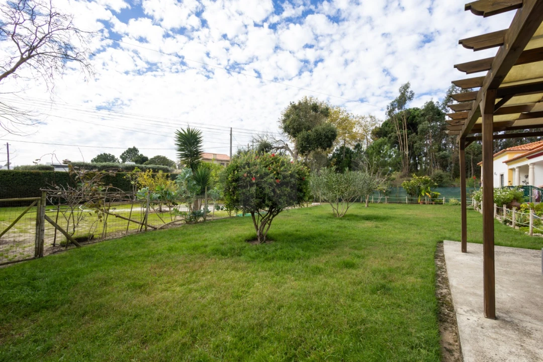 Moradia T3 para Venda em Nadadouro Foto 34