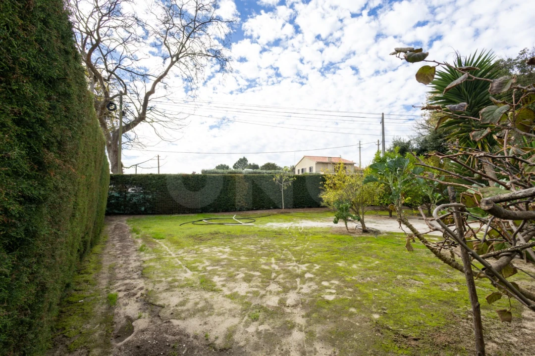 Moradia T3 para Venda em Nadadouro Foto 37