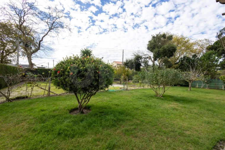 Moradia T3 para Venda em Nadadouro Foto 35