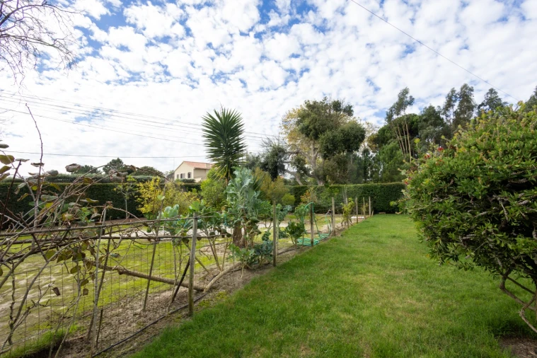 Moradia T3 para Venda em Nadadouro Foto 36