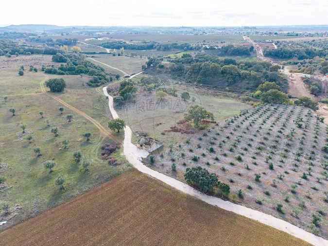 Moradia T2 para Venda em Casével e Vaqueiros Foto 19