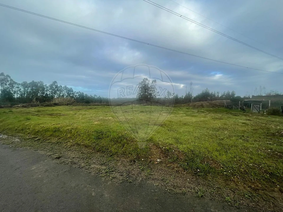Terreno para Venda em Pinheiro da Bemposta, Travanca e Palmaz Foto 3