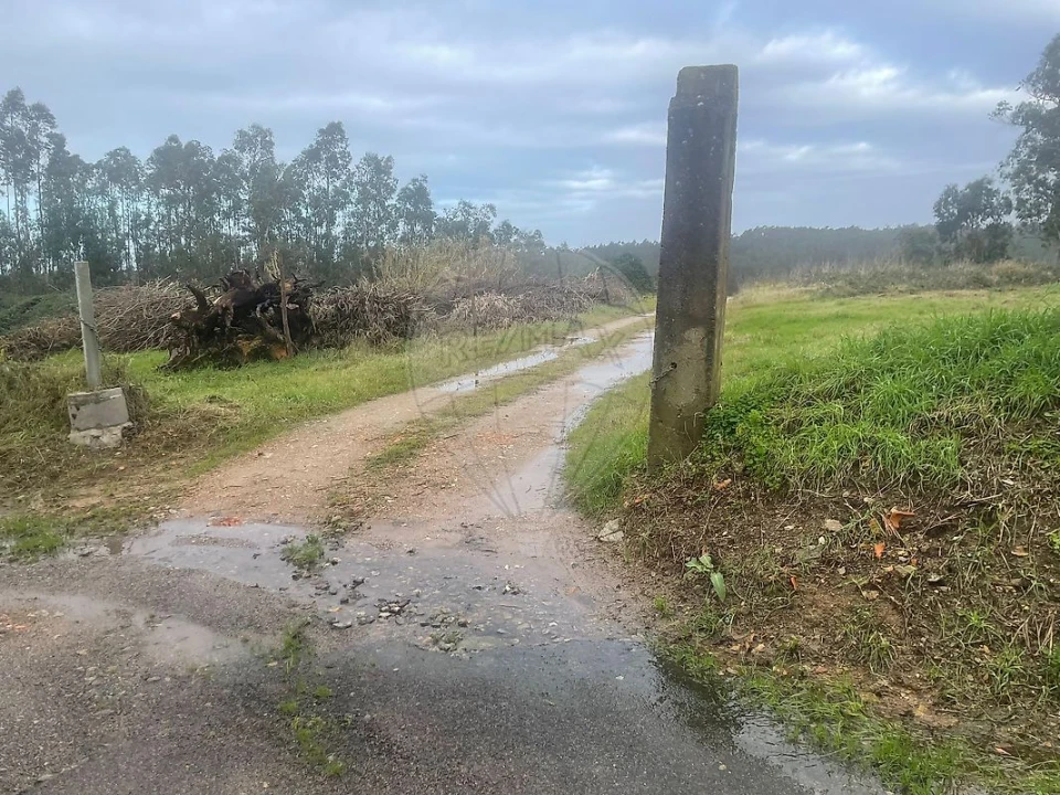 Terreno para Venda em Pinheiro da Bemposta, Travanca e Palmaz Foto 5