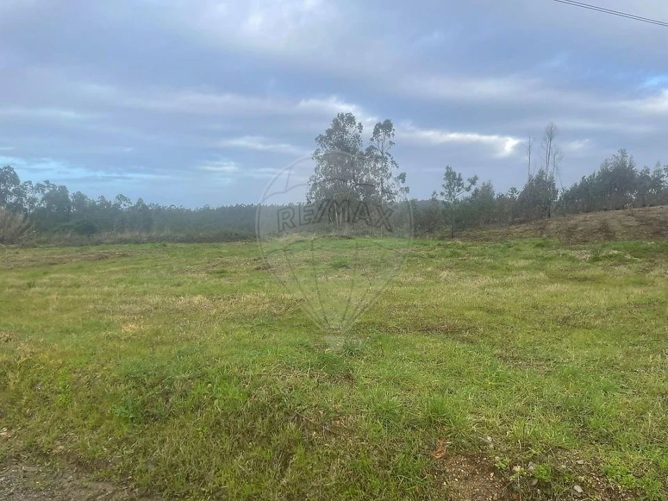 Terreno para Venda em Pinheiro da Bemposta, Travanca e Palmaz Foto 1