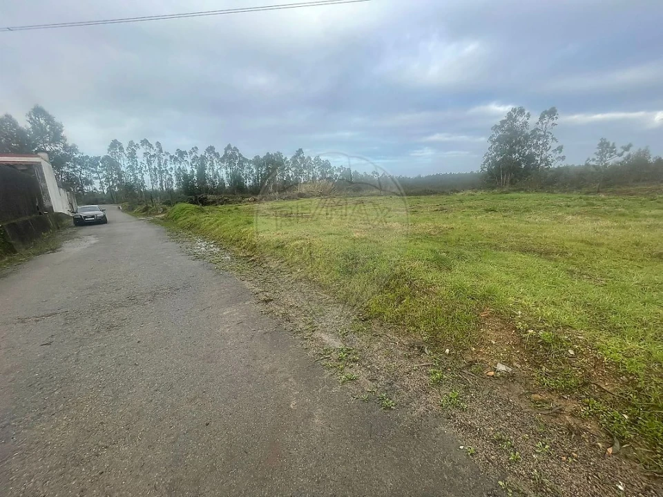 Terreno para Venda em Pinheiro da Bemposta, Travanca e Palmaz Foto 2