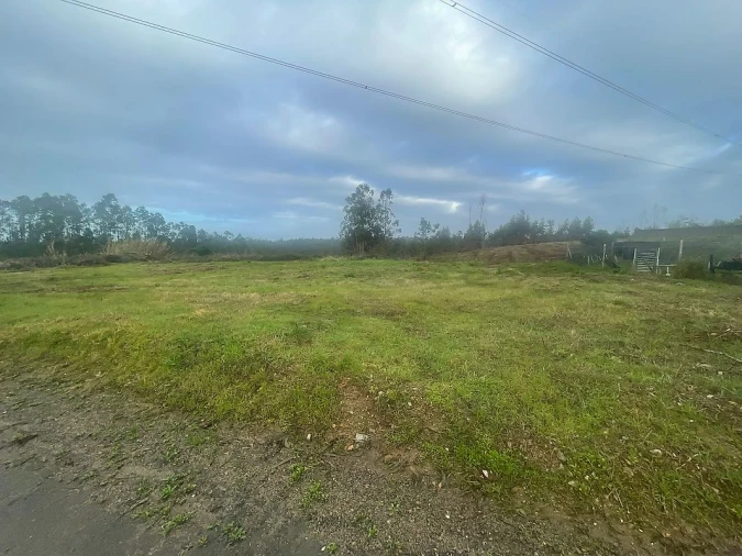 Terreno para Venda em Pinheiro da Bemposta, Travanca e Palmaz Foto 6
