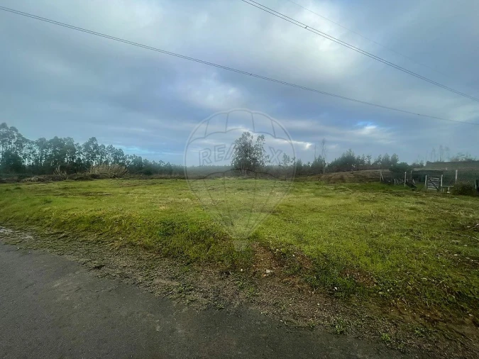 Terreno para Venda em Pinheiro da Bemposta, Travanca e Palmaz Foto 3