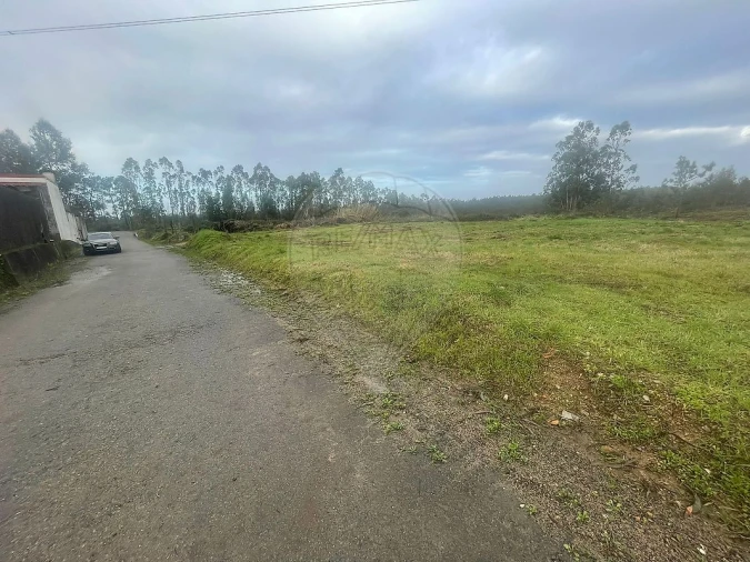 Terreno para Venda em Pinheiro da Bemposta, Travanca e Palmaz Foto 2