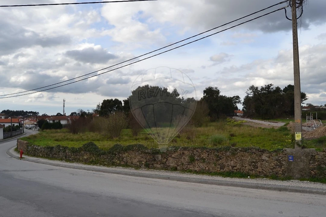 Terreno para Venda em Pinheiro da Bemposta, Travanca e Palmaz Foto 4