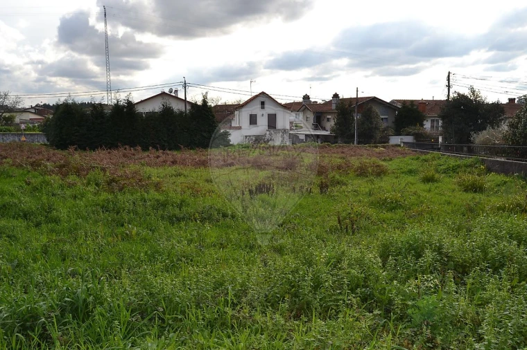 Terreno para Venda em Pinheiro da Bemposta, Travanca e Palmaz Foto 3