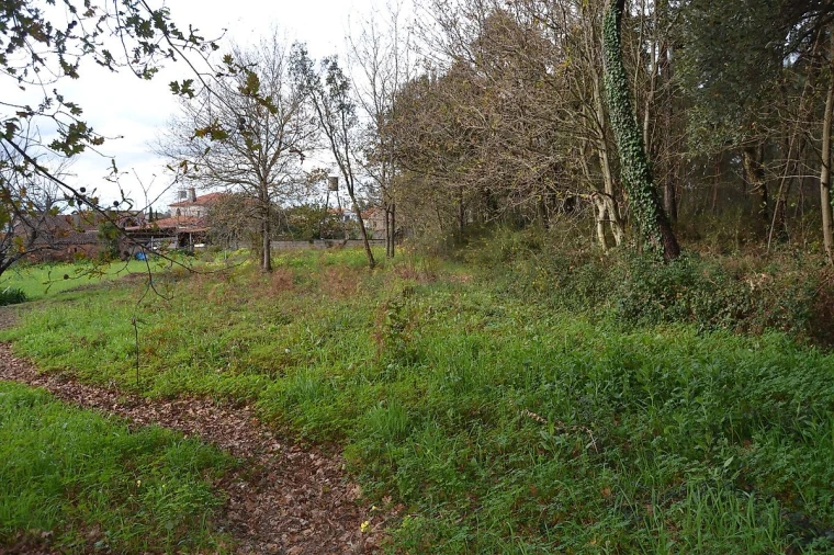 Terreno para Venda em Pinheiro da Bemposta, Travanca e Palmaz Foto 7