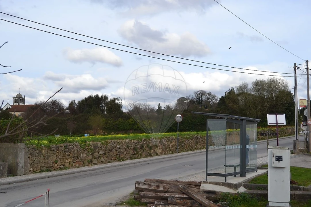 Terreno para Venda em Pinheiro da Bemposta, Travanca e Palmaz Foto 12