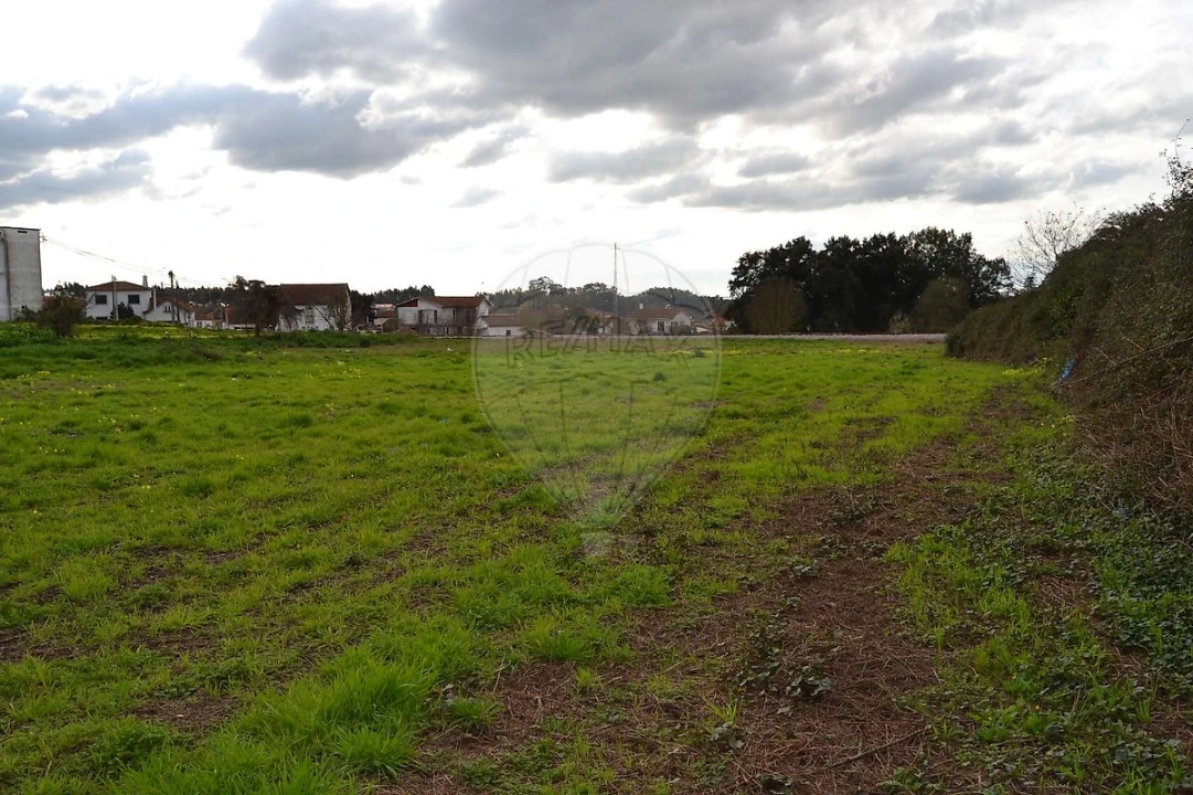 Terreno para Venda em Pinheiro da Bemposta, Travanca e Palmaz Foto 8