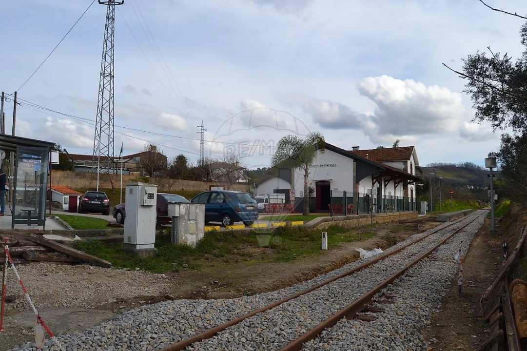 Terreno para Venda em Pinheiro da Bemposta, Travanca e Palmaz Foto 4