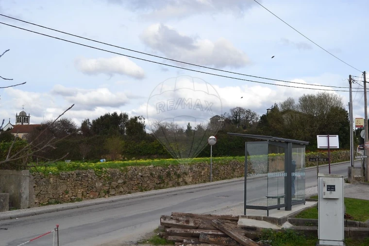 Terreno para Venda em Pinheiro da Bemposta, Travanca e Palmaz Foto 12