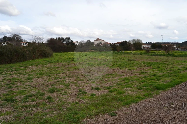 Terreno para Venda em Pinheiro da Bemposta, Travanca e Palmaz