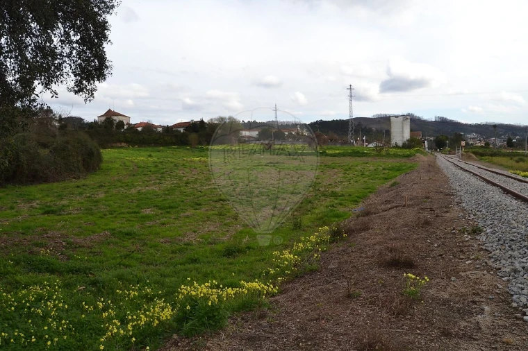 Terreno para Venda em Pinheiro da Bemposta, Travanca e Palmaz Foto 10