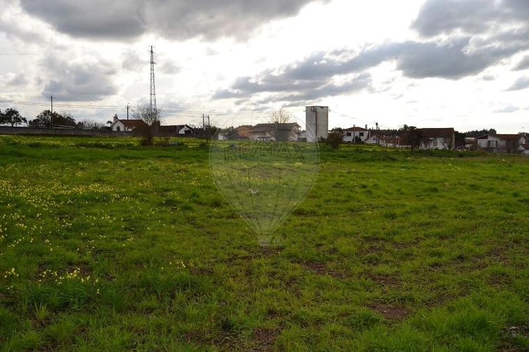 Terreno para Venda em Pinheiro da Bemposta, Travanca e Palmaz Foto 6