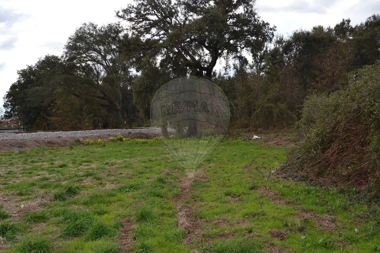 Terreno para Venda em Pinheiro da Bemposta, Travanca e Palmaz Foto 9