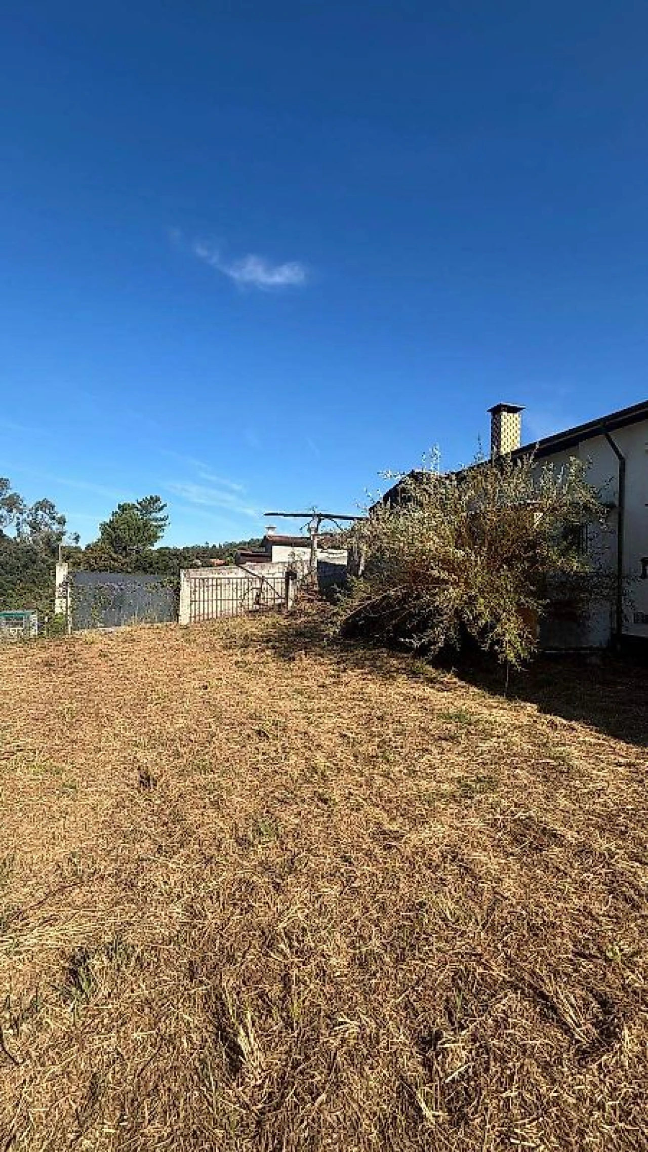 Quinta T3 para Venda em Vila de Cucujães Foto 18