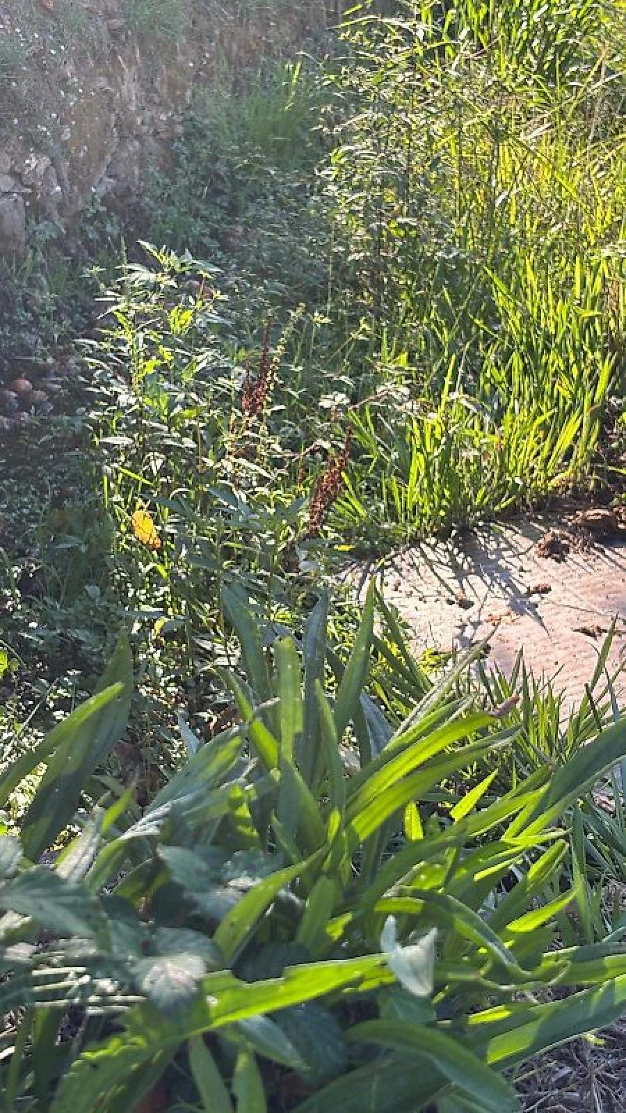 Quinta T3 para Venda em Vila de Cucujães Foto 21