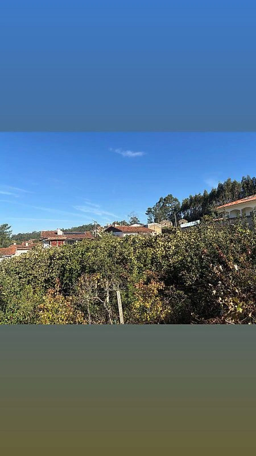 Quinta T3 para Venda em Vila de Cucujães Foto 20