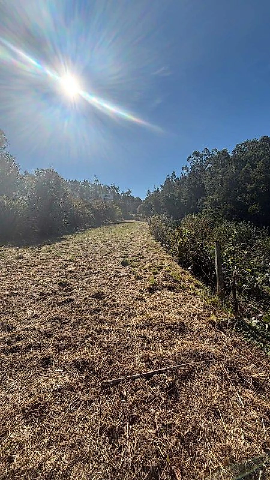 Quinta T3 para Venda em Vila de Cucujães Foto 19