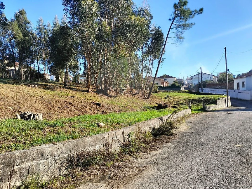 Terreno para Venda em O. Azeméis, Riba-Ul, Ul, Macinhata Seixa, Madail Foto 1