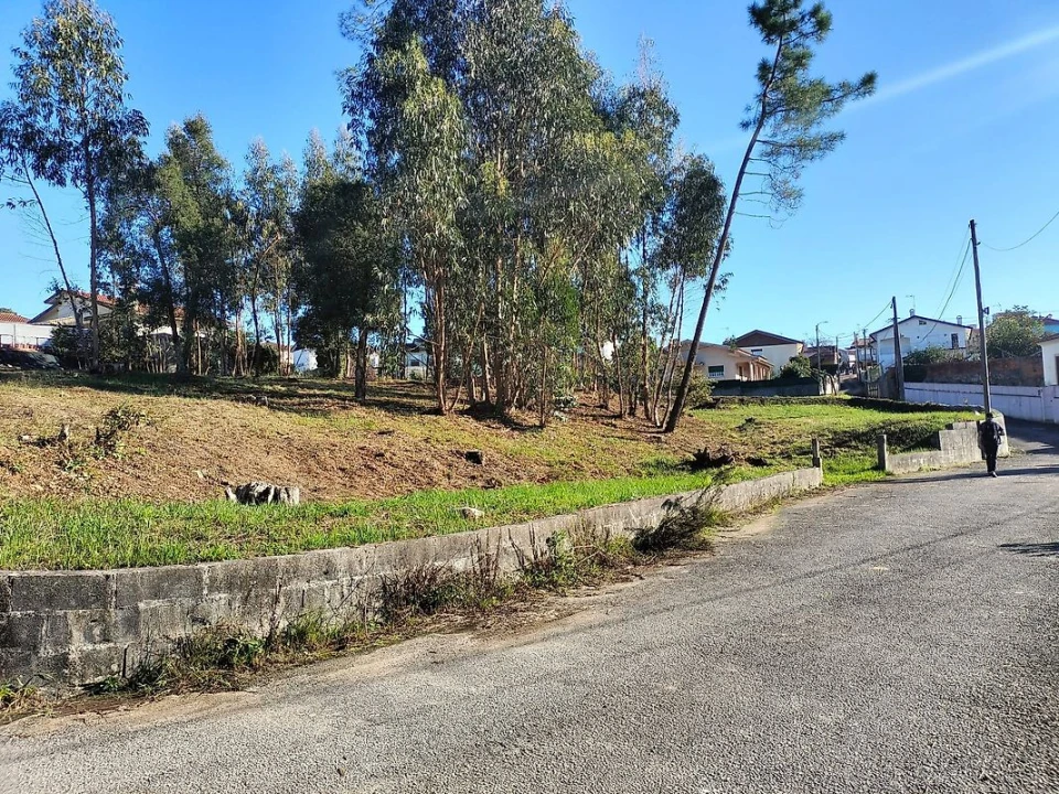Terreno para Venda em O. Azeméis, Riba-Ul, Ul, Macinhata Seixa, Madail Foto 12