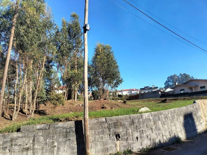Terreno para Venda em O. Azeméis, Riba-Ul, Ul, Macinhata Seixa, Madail Foto 15