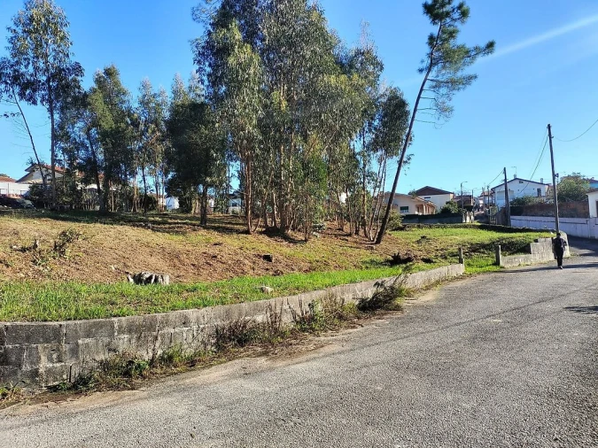 Terreno para Venda em O. Azeméis, Riba-Ul, Ul, Macinhata Seixa, Madail Foto 12