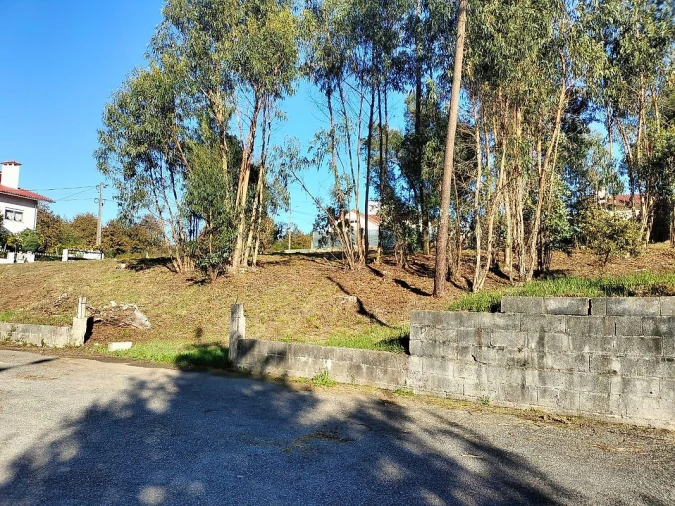 Terreno para Venda em O. Azeméis, Riba-Ul, Ul, Macinhata Seixa, Madail Foto 5