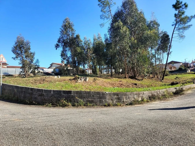 Terreno para Venda em O. Azeméis, Riba-Ul, Ul, Macinhata Seixa, Madail Foto 2
