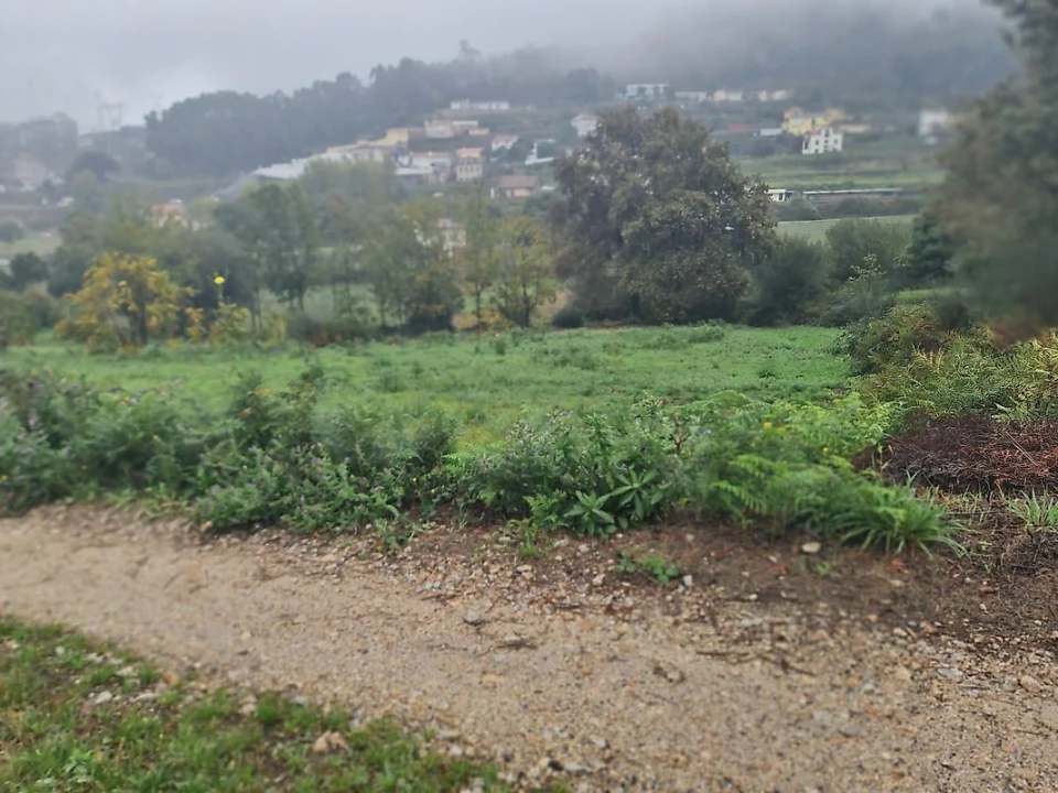 Terreno para Venda em Pinheiro da Bemposta, Travanca e Palmaz Foto 4