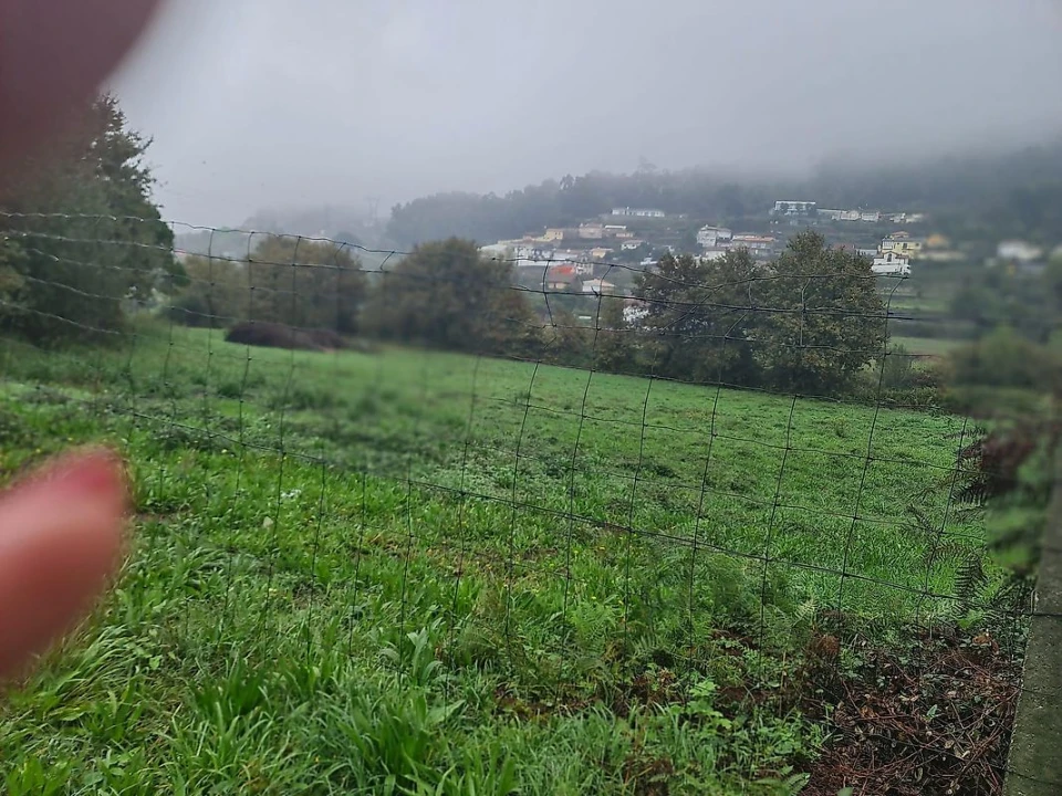 Terreno para Venda em Pinheiro da Bemposta, Travanca e Palmaz Foto 3