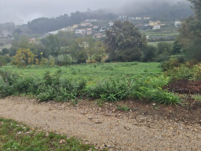 Terreno para Venda em Pinheiro da Bemposta, Travanca e Palmaz Foto 4