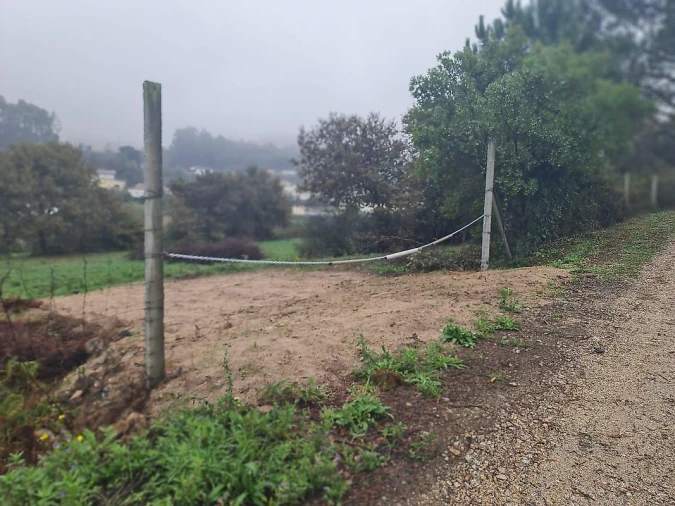 Terreno para Venda em Pinheiro da Bemposta, Travanca e Palmaz Foto 1