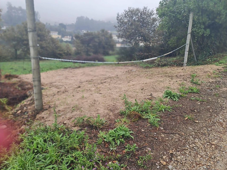 Terreno para Venda em Pinheiro da Bemposta, Travanca e Palmaz Foto 2