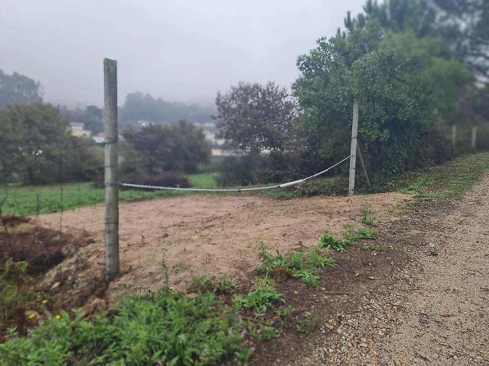 Terreno para Venda em Pinheiro da Bemposta, Travanca e Palmaz Foto 1