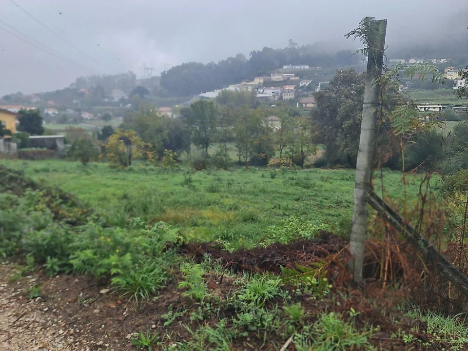 Terreno para Venda em Pinheiro da Bemposta, Travanca e Palmaz Foto 5