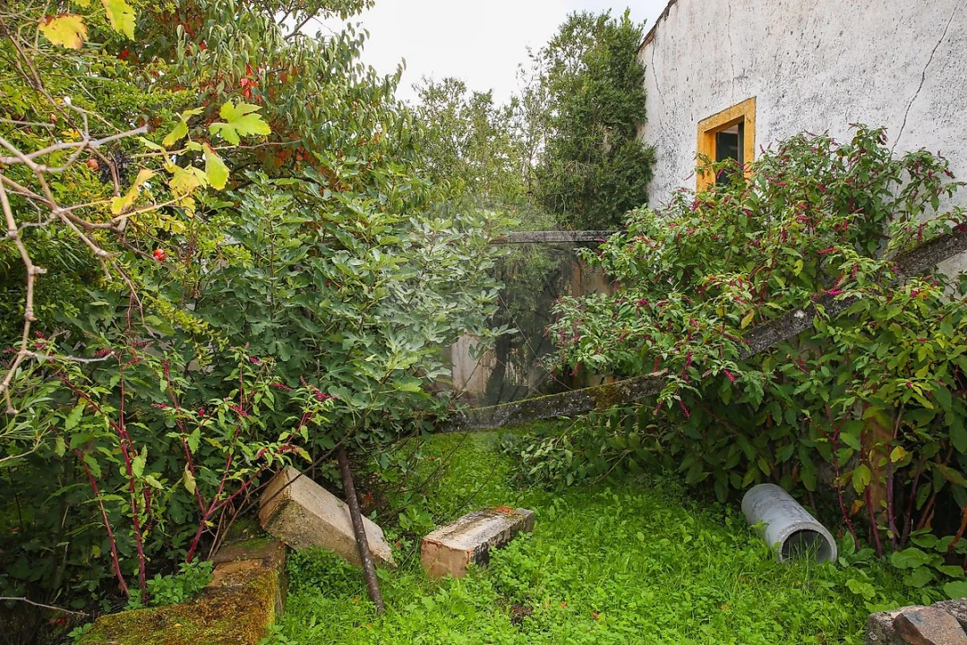 Moradia T3 para Venda em Santa Maria de Marvão Foto 5