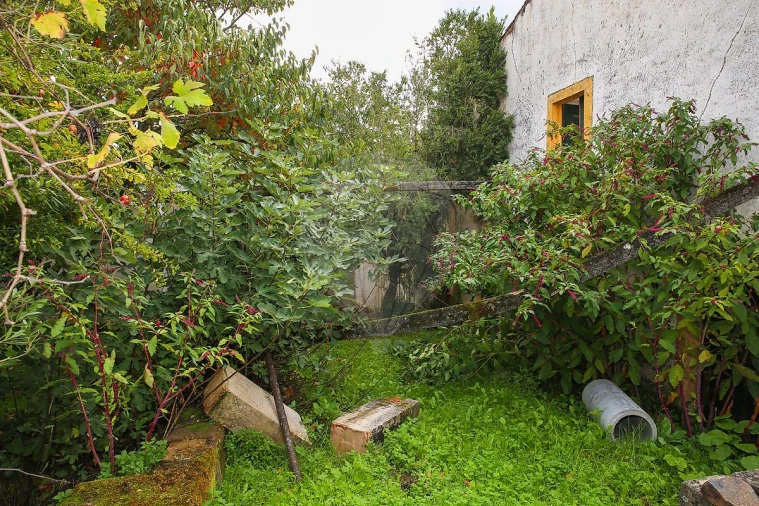 Moradia T3 para Venda em Santa Maria de Marvão Foto 5