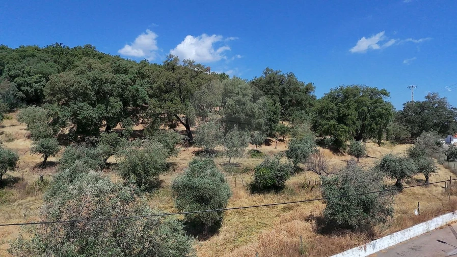 Moradia T3 para Venda em Santa Maria de Marvão Foto 7