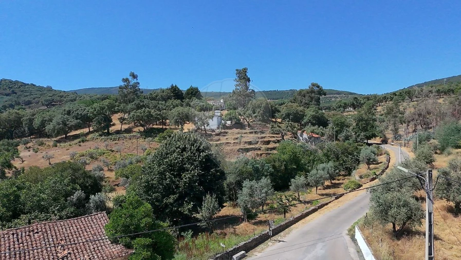 Moradia T3 para Venda em Santa Maria de Marvão Foto 8