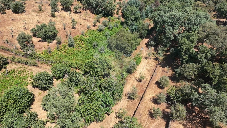 Moradia T3 para Venda em Santa Maria de Marvão Foto 16