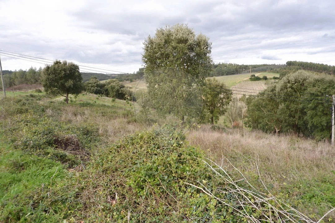 Terreno para Venda em Vilar Foto 10