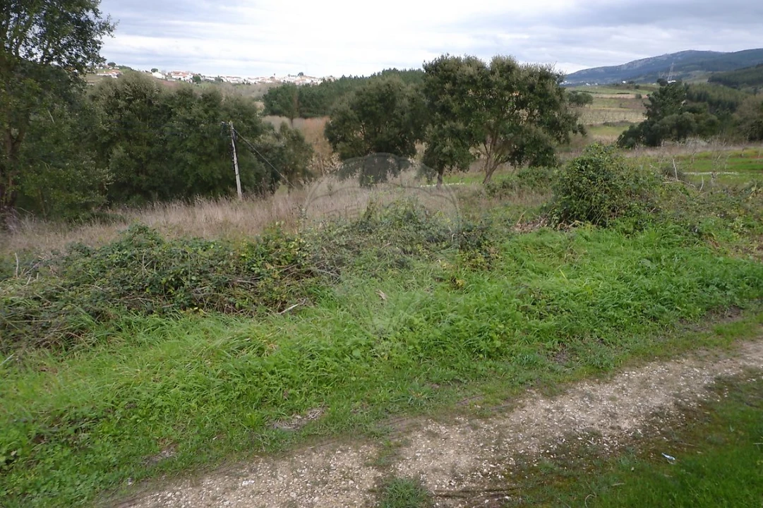 Terreno para Venda em Vilar Foto 9